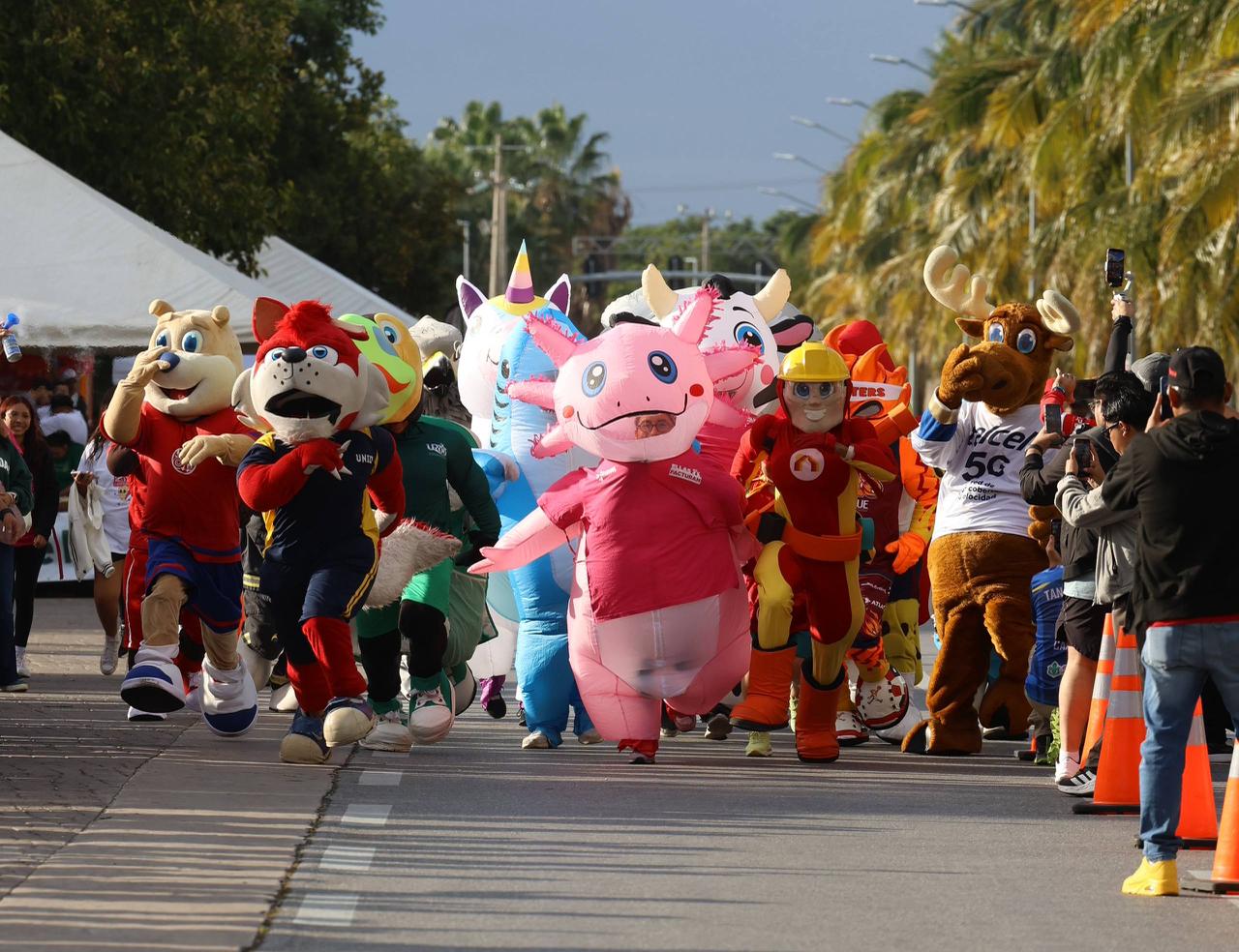 uploads/6/32/01 (2781).Jpeg